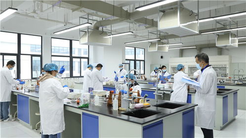 強(qiáng)化技能比拼主陣地 筑牢質(zhì)量安全防線(xiàn)——瀘江首屆檢驗(yàn)檢測(cè)機(jī)構(gòu)檢驗(yàn)?zāi)芰Ρ葘?duì)比武在四川化工職業(yè)技術(shù)學(xué)院舉辦